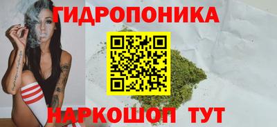 гашик Краснодар