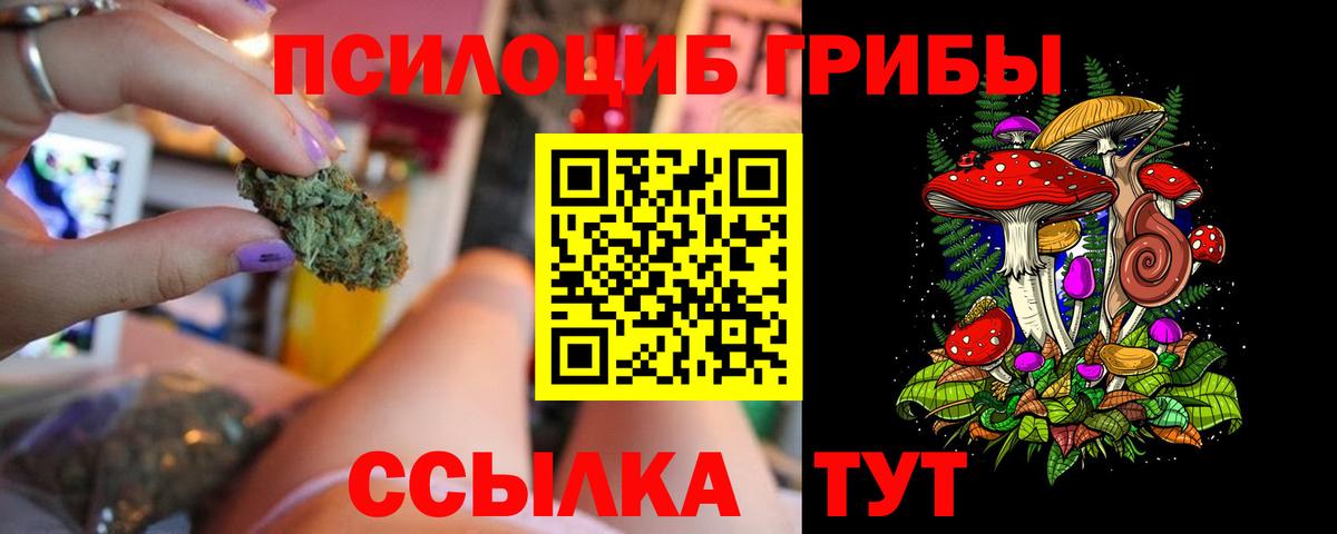 Галлюциногенные грибы мухоморы Карачаевск